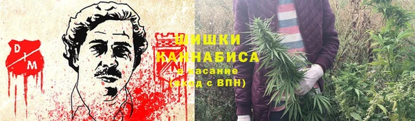 2c-b Надым