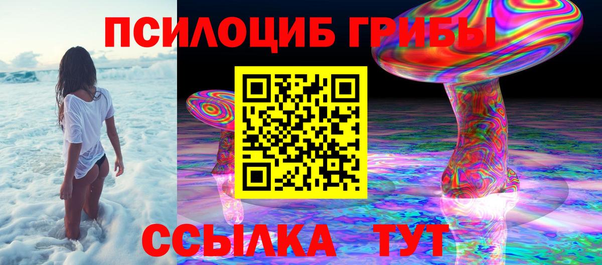 Псилоцибиновые грибы прущие грибы Красноуфимск