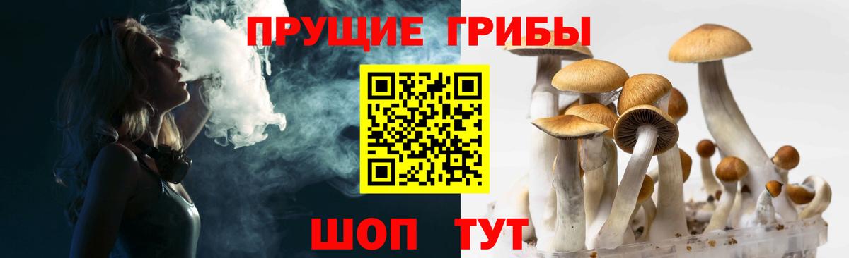 Псилоцибиновые грибы Cubensis  Вход с VPN  Красноуфимск  Псилоцибиновые грибы прущие грибы 